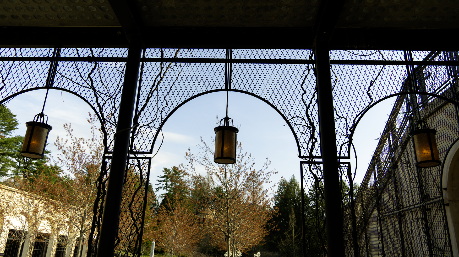 Longwood Gardens 12