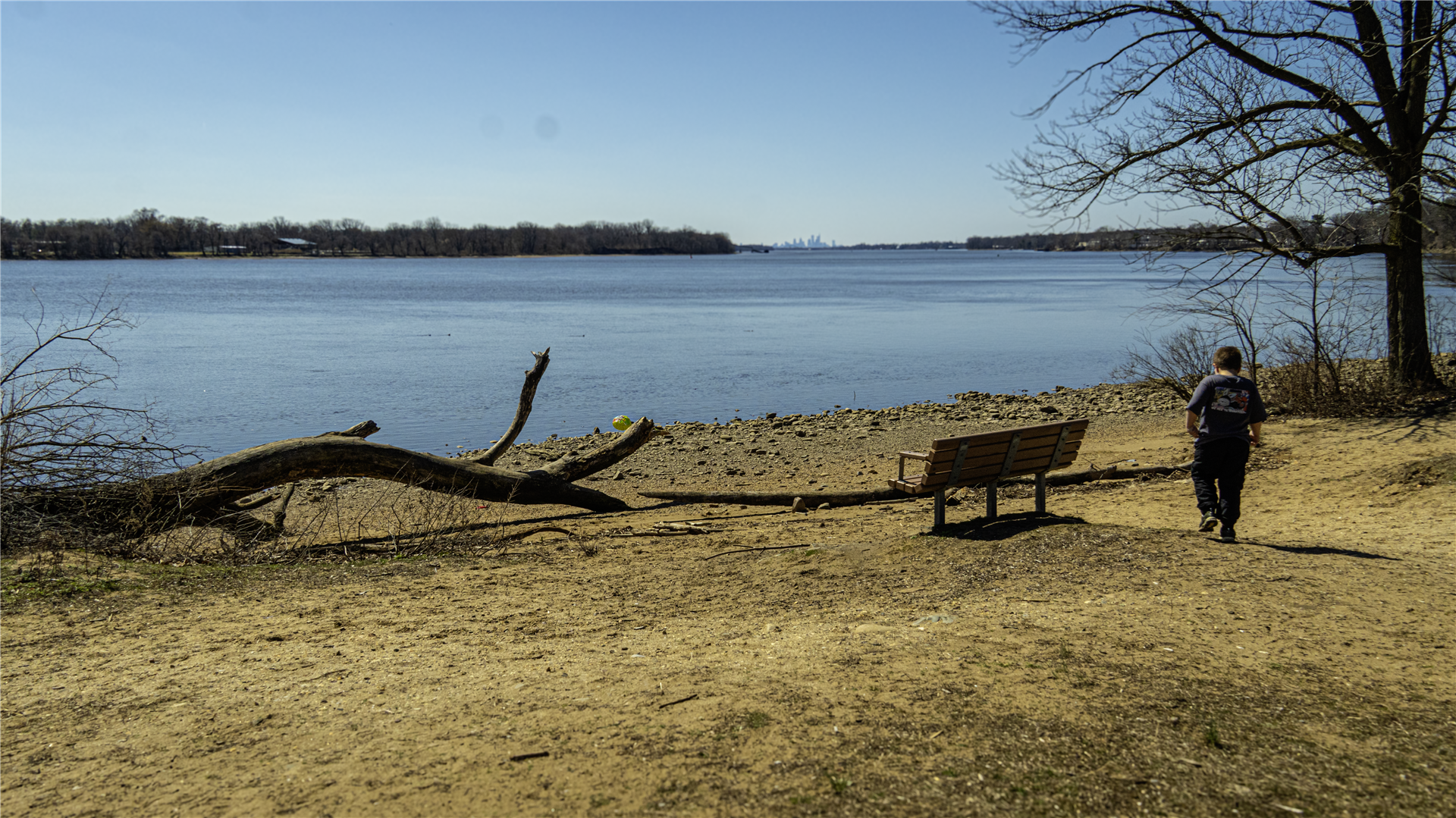 Luminary Brand Identity