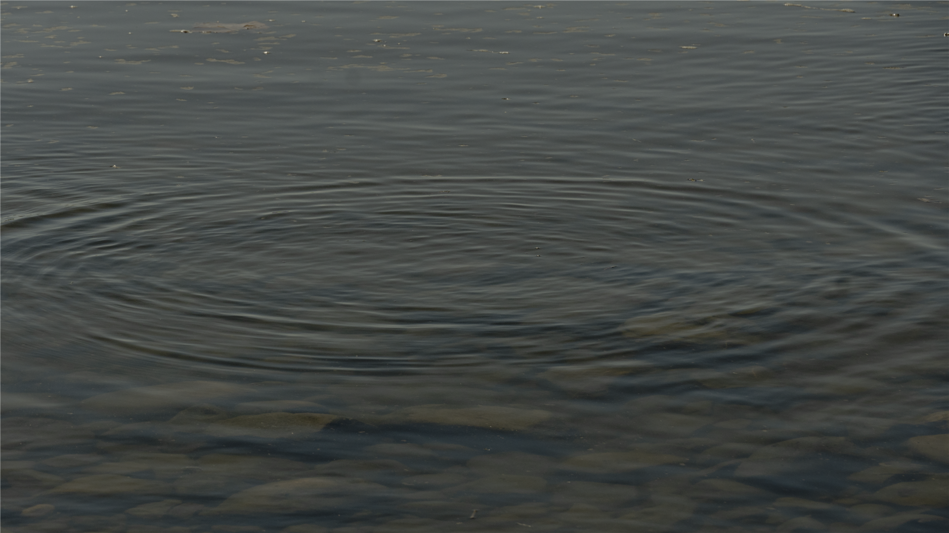 Nova Digital Platform