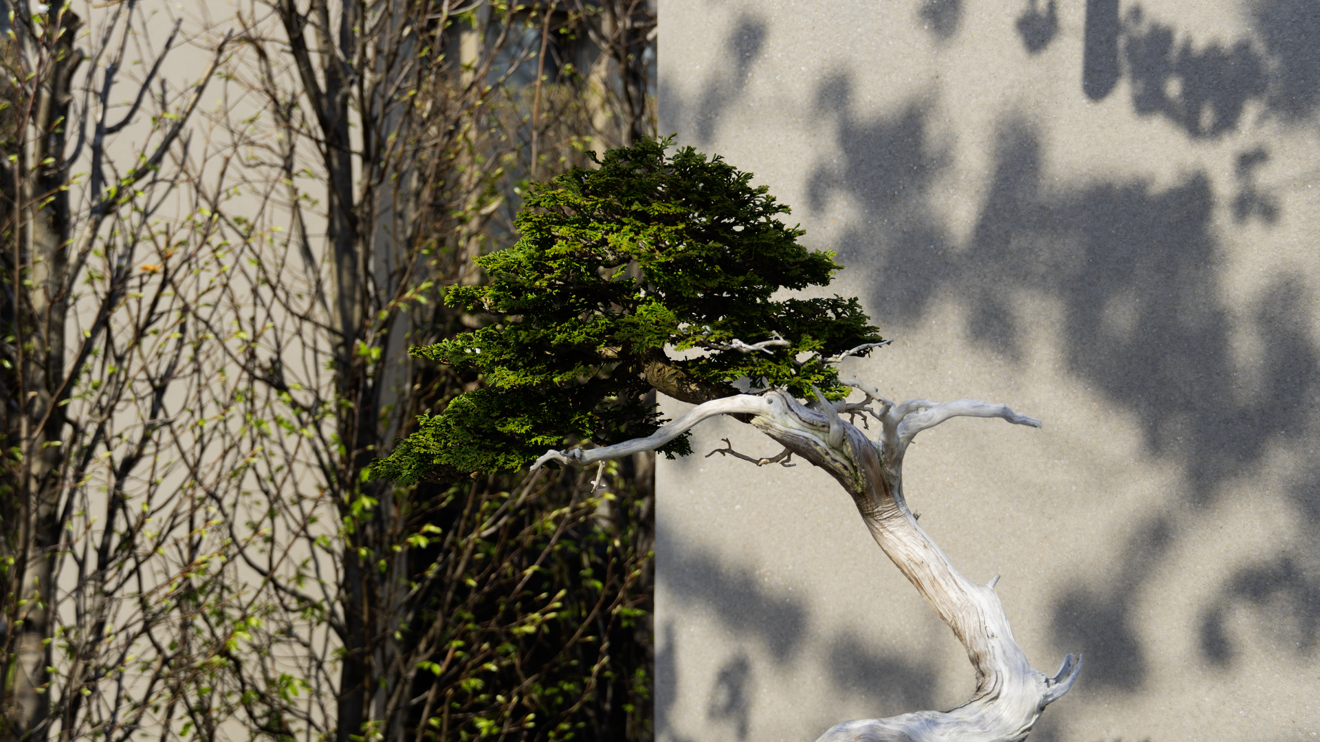 Landscape Photography — Natural Scenery
